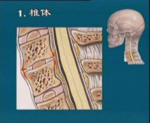 颈椎间盘突出的检查方法有哪些？